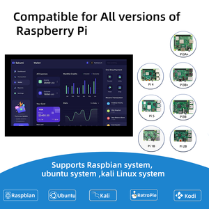 4.3 Inch <strong>LCD</strong> Capacitive Touch Screen <strong>Monitor</strong> 800*480 Resolution DSI <strong>Raspberry</strong> <strong>Pi</strong> Display - Product Image 4