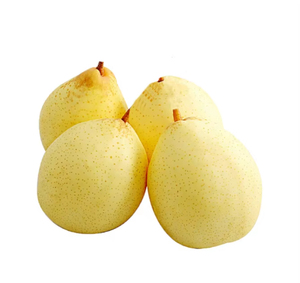 Practical Ya <strong>Pear</strong> Resources Cheap <strong>Fresh</strong> and Natural Ya <strong>Pears</strong> Available for Wholesale Orders Sweet and Crisp Taste - Product Image 5
