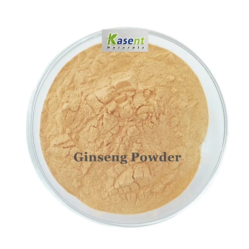 Hochwertiges Panax Ginseng Pulver Ginseng Wurzel Extrakt Pulver