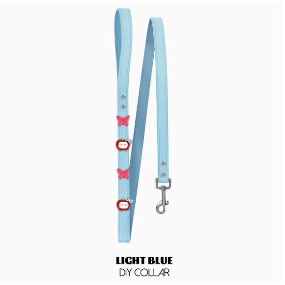 Light blue leash