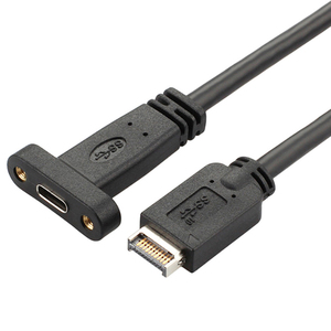 卸売タイプE USB 3.1男性USB-CタイプC女性エクステンションケーブルフロントパネルヘッダー50cmコンピュータマザーボードワイヤーコード