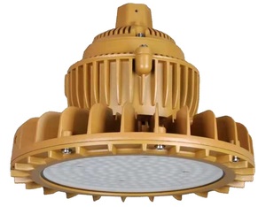 LED patlamaya dayanıklı ışık yüksek defne patlamaya dayanıklı Led ışık 5 yıl garanti 100W-300W IP65 70 Exd IIC T6 Gb sarı gri 120 - Product Image 2