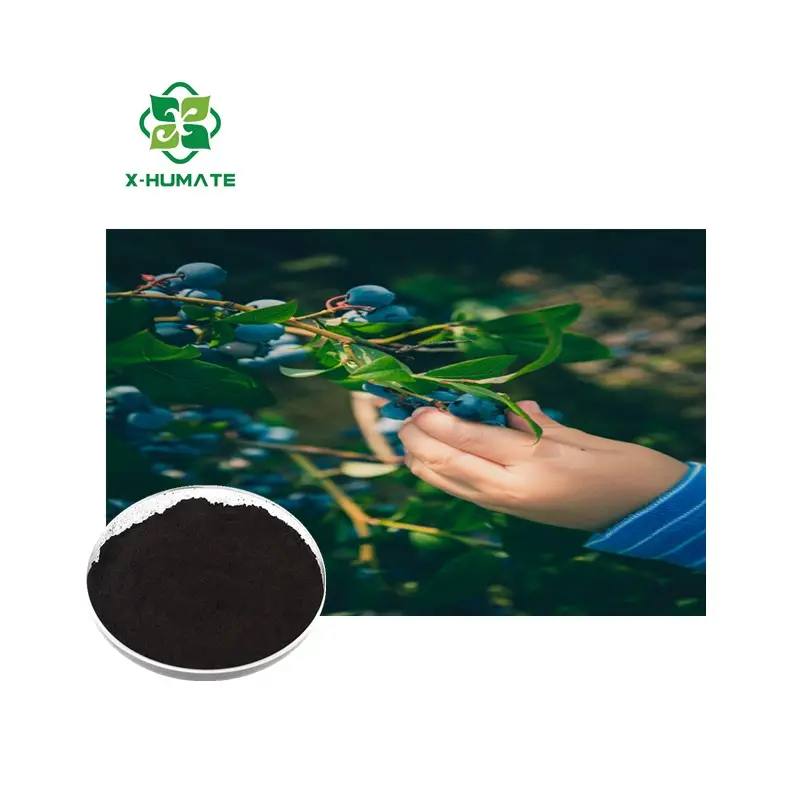 Kali FULVIC bột màu đen kali fulvate 50% axit humic x-humate 30% Fulvic