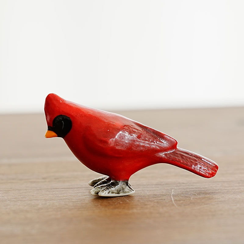 Pájaro rojo