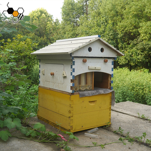 Tự Động Bằng Gỗ Dòng Chảy <span class=keywords><strong>Hive</strong></span> Nhà Nâng Cấp Tự Động Khung Lược-Tổ Ong Hộp Mật Ong Miễn Phí Thu hoạch - Product Image 5