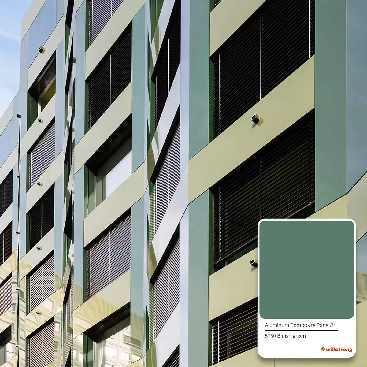 ตามที่แสดง