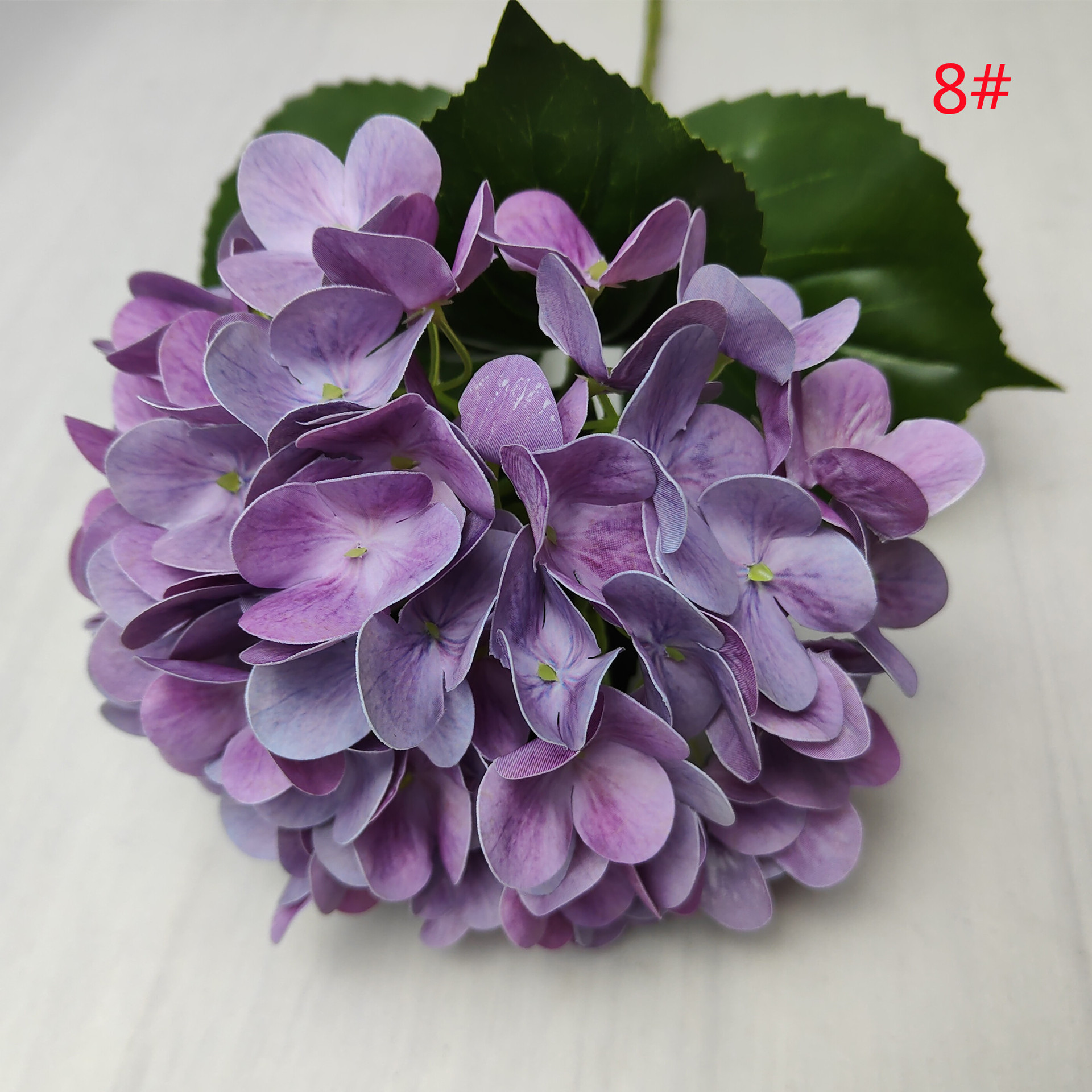 Purple 5