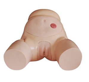 高级女性导尿模拟器导尿套件BC1115-08D - Product Image 1