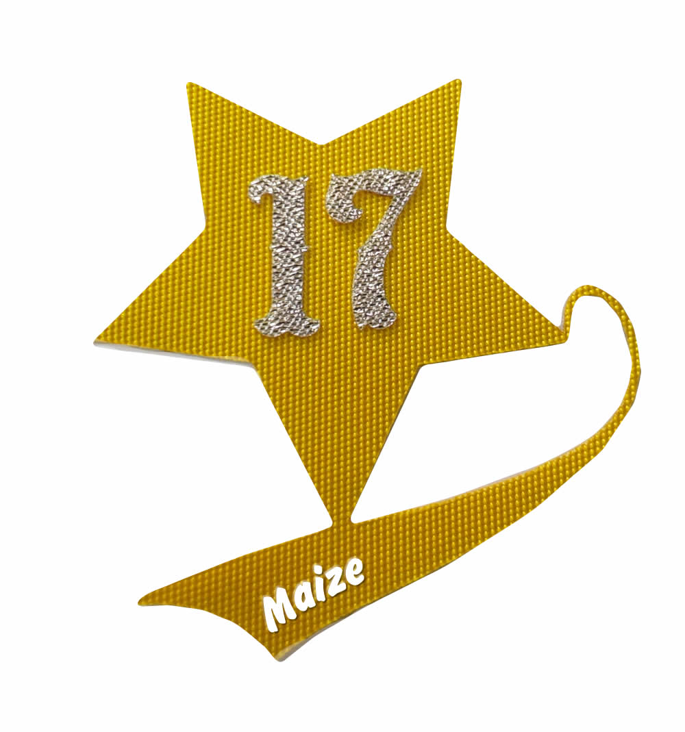 17# Maize