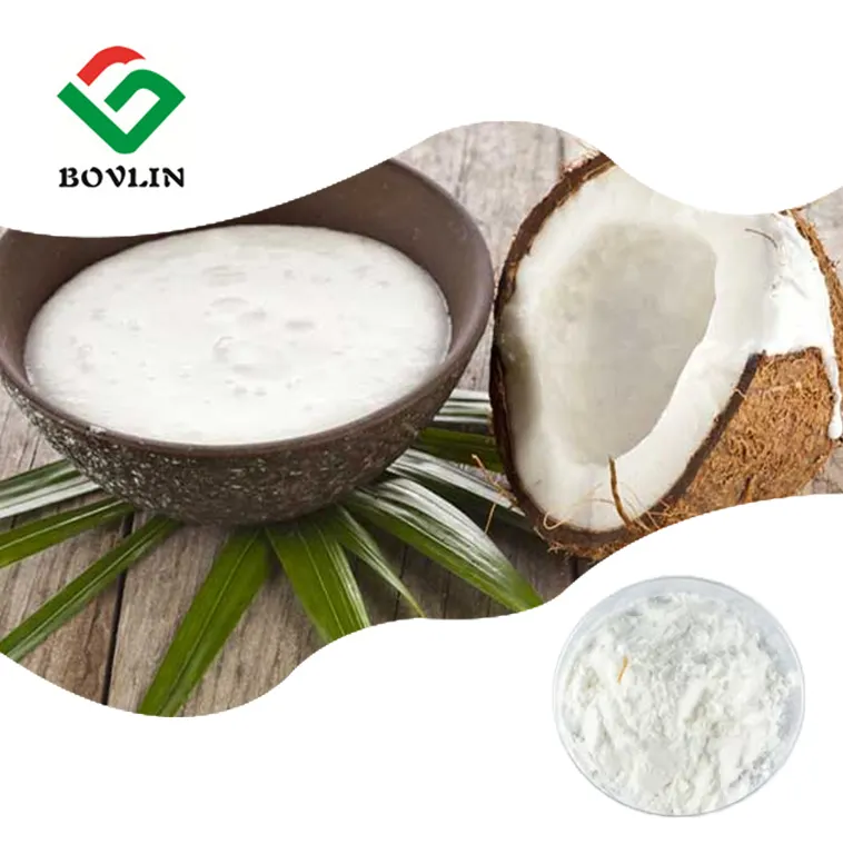 Organic Coconut Milk Powder Dried Coconut Milk Powder