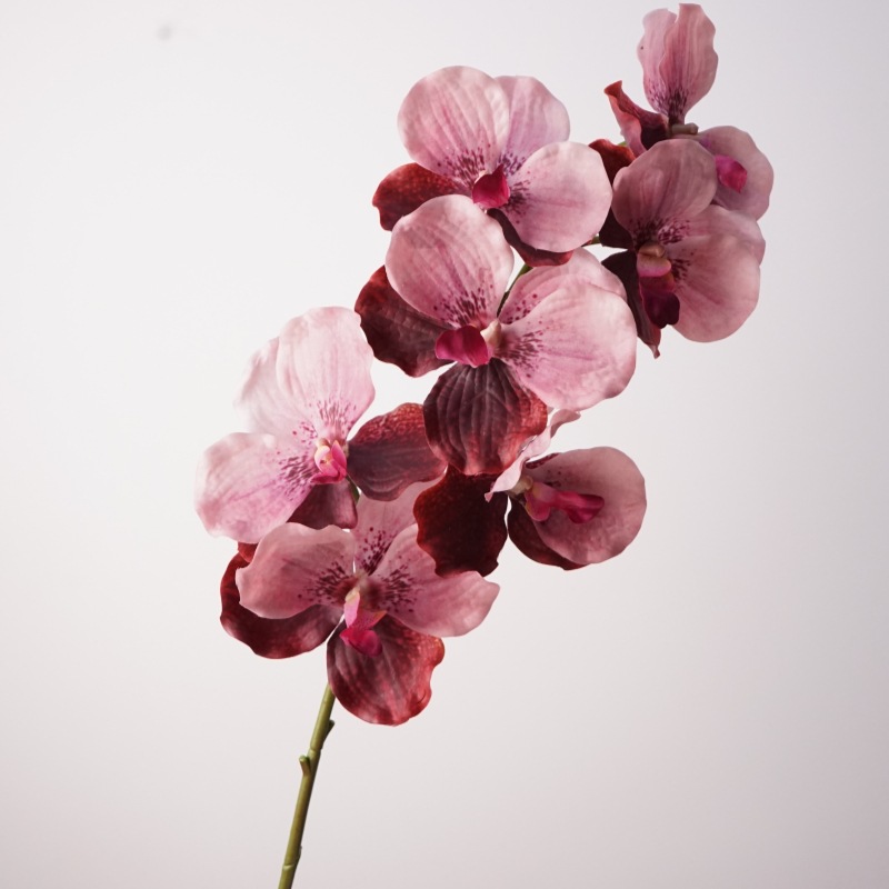 Violet rosé orchidée doux au toucher