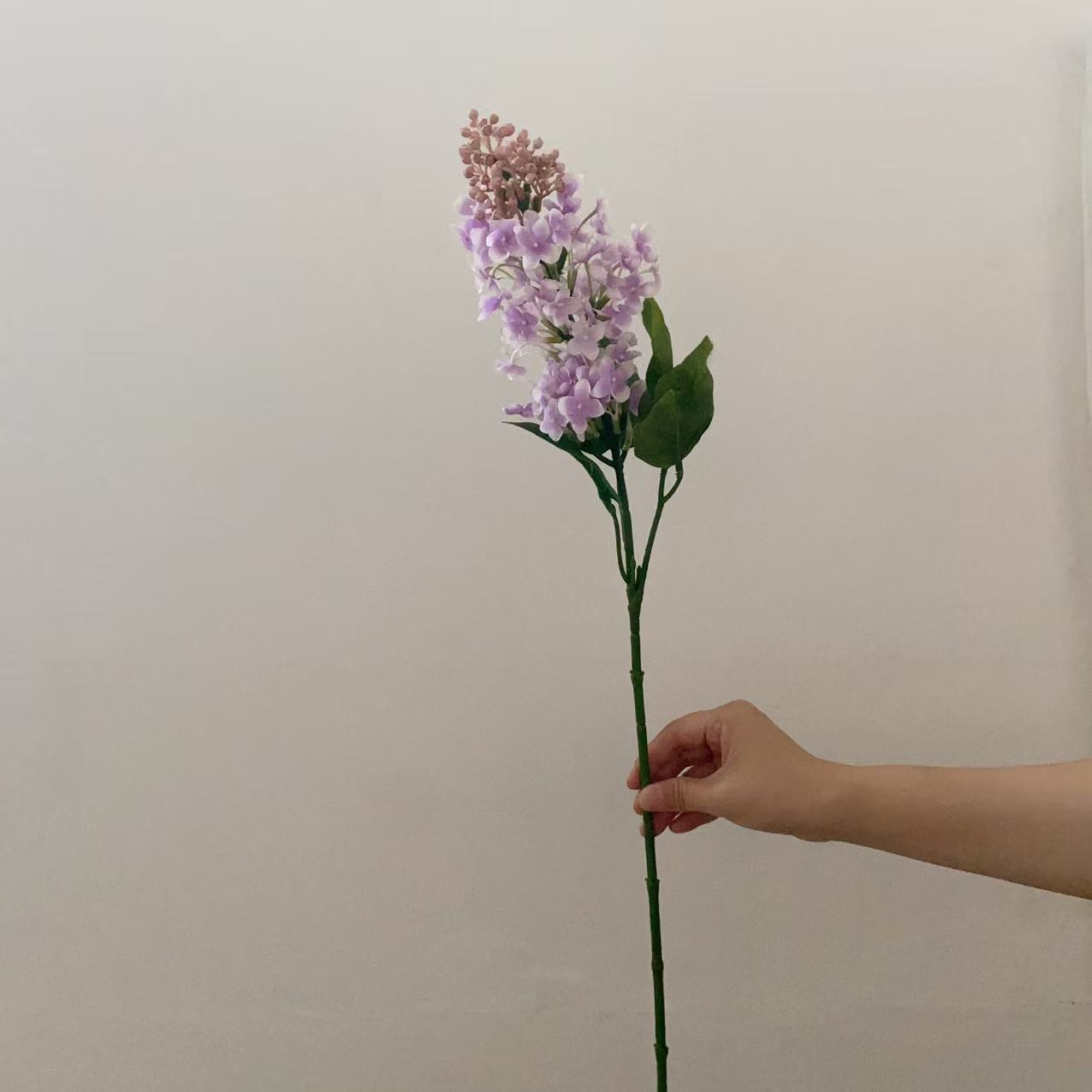 Purple2
