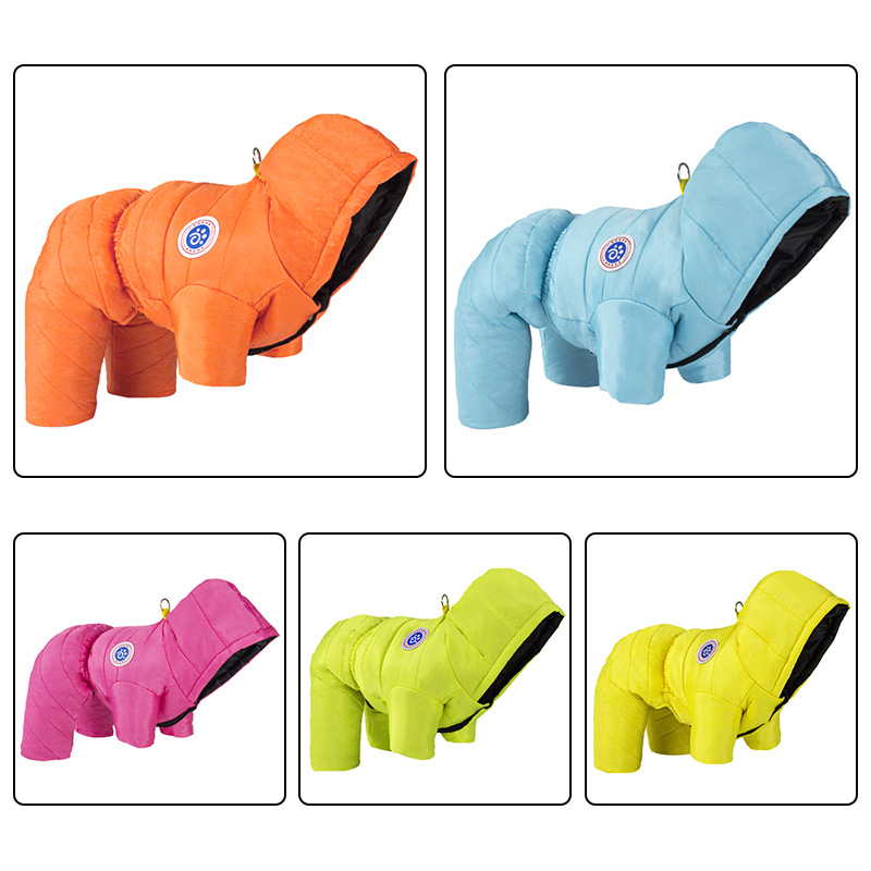 Clothes6-1 de chien