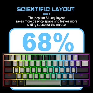 <strong>Computer</strong> Wired Mechanical Gaming <strong>Keyboard</strong> 60 Percent Blue Switch RGB Backlit 61Keys Mechanical Gaming <strong>Keyboard</strong>