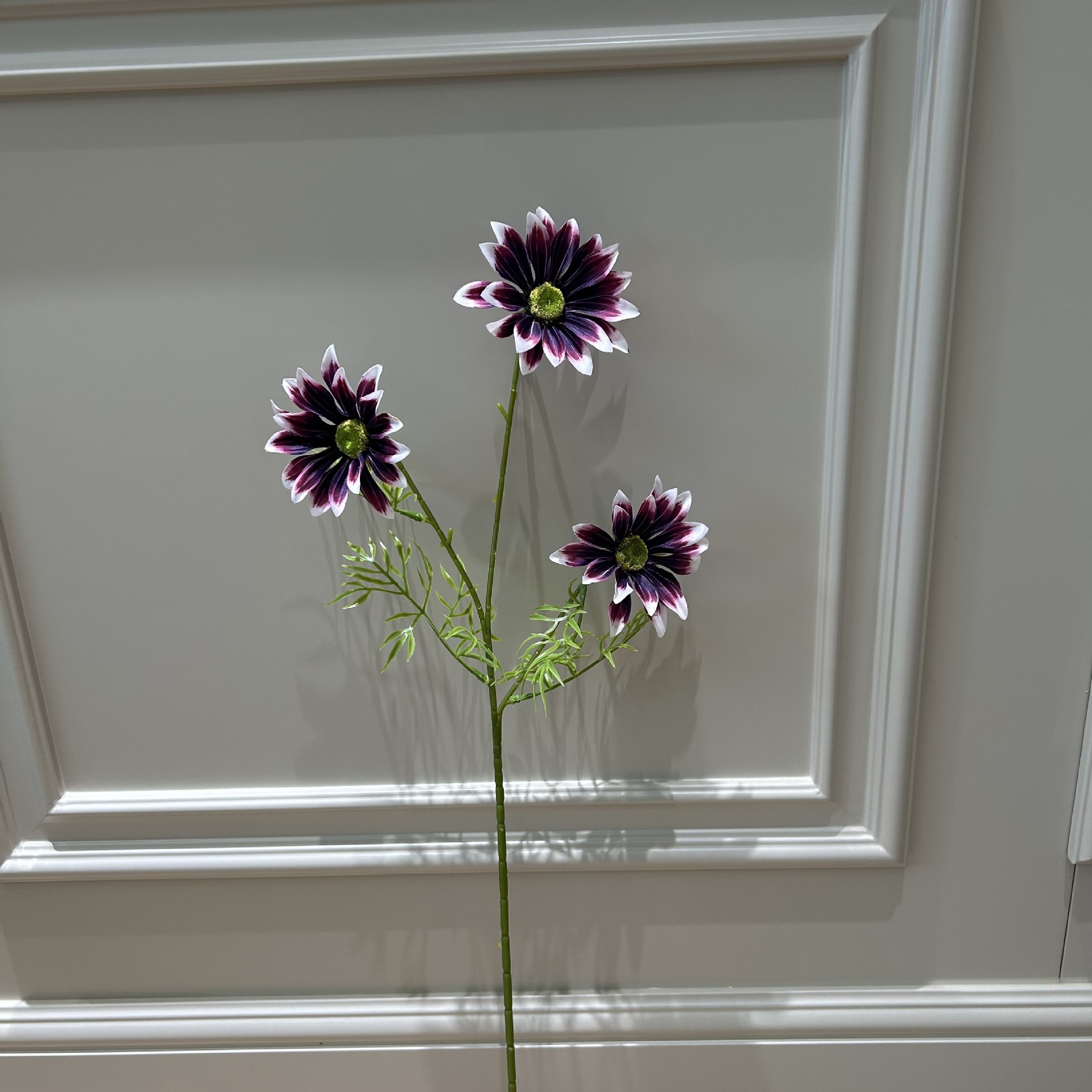 Hshs summer chrysanthemum turn up deep purple