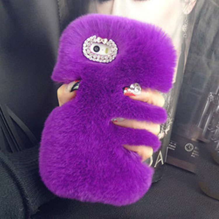Viola