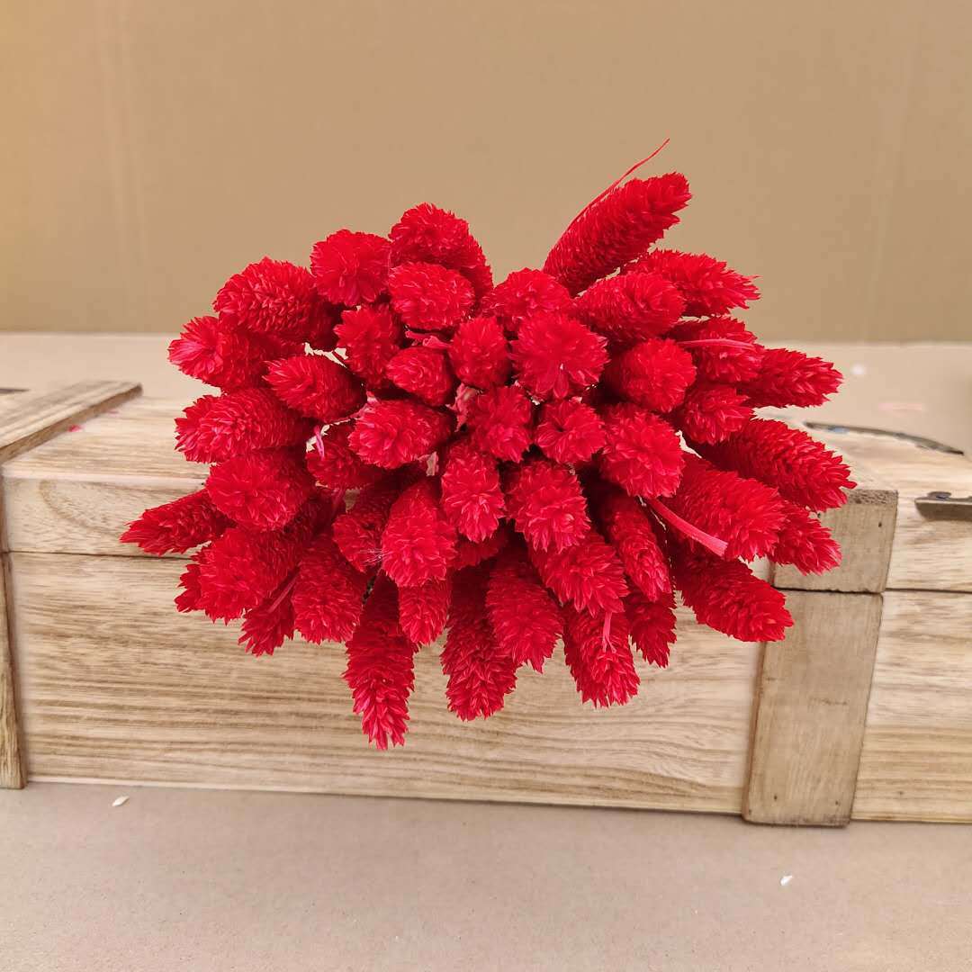 Rojo