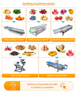XINLONGJIA Automatic Fruit and Vegetable <strong>Sorting</strong> <strong>Machine</strong> Citrus Cherry and Orange Washing Line for Nuts and Saint Fruit - Product Image 4