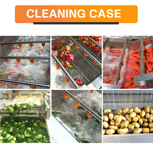 Leaf Vegetable/ Lettuce/ Cabbage/ Spinach/ <strong>Celery</strong>/ Vegetable Air Bubble Washing Machine - Product Image 5