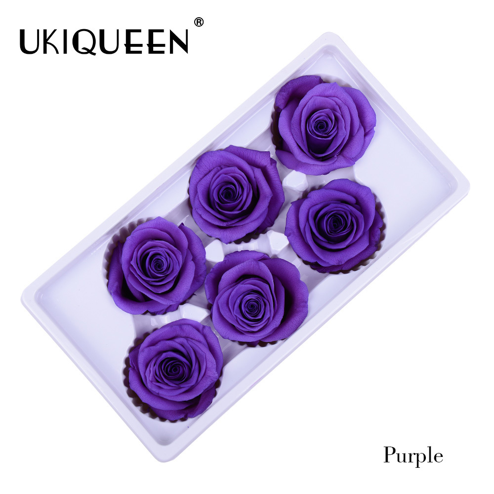 17 pourpre