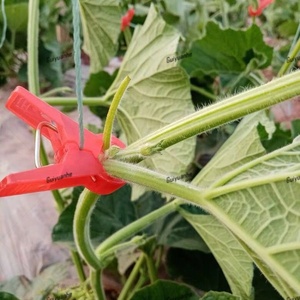 Perfect for <strong>Trellis</strong> <strong>Netting</strong> Growing Vine Vegetables Like <strong>Tomatoes</strong> and Cucumbers Melons Vine Clips - Product Image 4