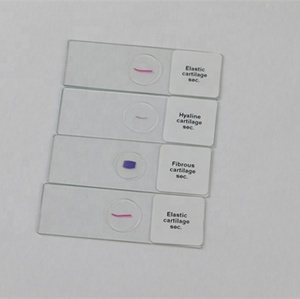 Microscopio para enseñanza y aprendizaje con certificado CE, toboganes de fábrica para ciencia médica y biología, venta directa de fábrica - Product Image 2