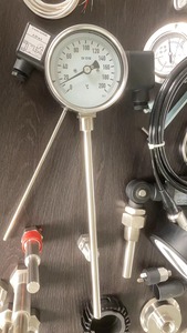 Digitales Kapillar thermometer PT100 Ausgang Anpassbarer Temperatur messgerät Sensor OEM unterstützt - Product Image 4