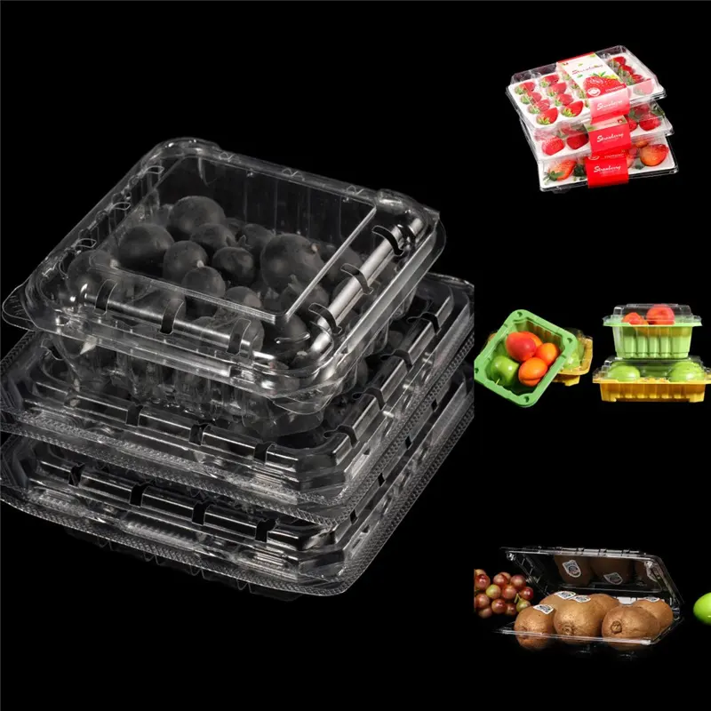 Supermercado descartável Blister Fruta Vegetal Clamshell Container Clear Blueberry Caixa De Embalagem Plástica para Morango