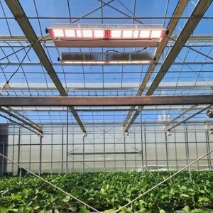 Dimmable Control Lm281b Lm301b Chips Full Spectrum Geek Bar Plant <strong>Led</strong> Grow Light 600Watt 1000watt 1300watt <strong>Led</strong> Grow Light Strip - Product Image 3