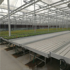 <span class=keywords><strong>Ebb</strong></span> Và Hệ Thống Thiết Lập Hệ Thống Thủy Canh Dòng Chảy Bàn Lăn Phát Triển - Product Image 2