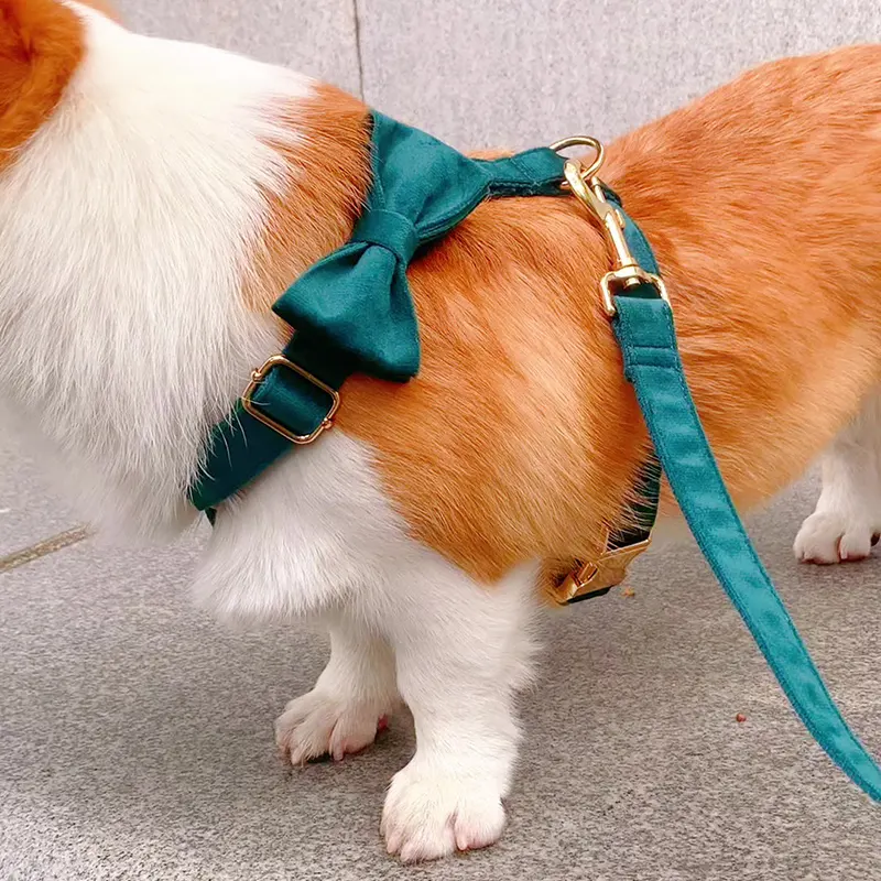 OEM Holiday Plain Nylon Pitbull Hunting Weighted Slip On Pet Dog Collar For Big Dog