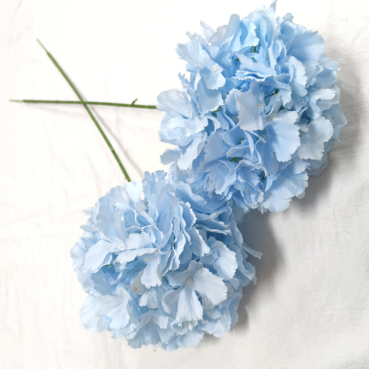 #5Light Blue