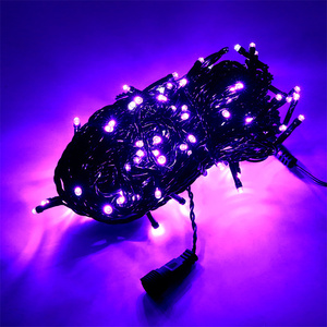 Benutzer definierte Hot Selling Fernbedienung RGB mehrfarbige Niederspannungs-LED-Lichterkette 300 LED - Product Image 4