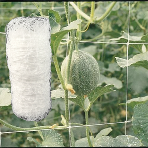 <strong>Cheap</strong> Price High Quality <strong>pp</strong> Cucumber Trellis <strong>Netting</strong> Tomato Climbing Net for Grow Tent Cucumber Tomato Pea Bean Growing - Product Image 1