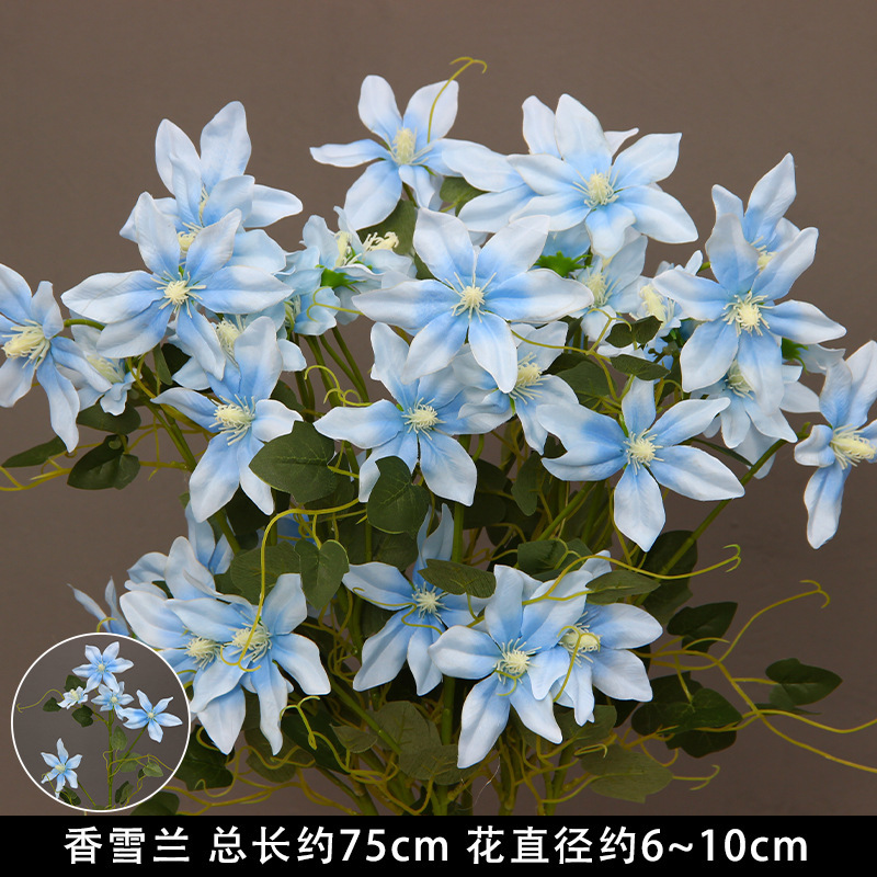 10 freesias bleus