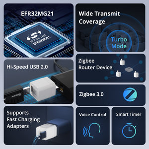 ZBMicro SONOFF微型Zigbee通用串行总线智能适配器高速通用串行总线2.0语音控制智能生活与Alexa谷歌主页 - Product Image 2
