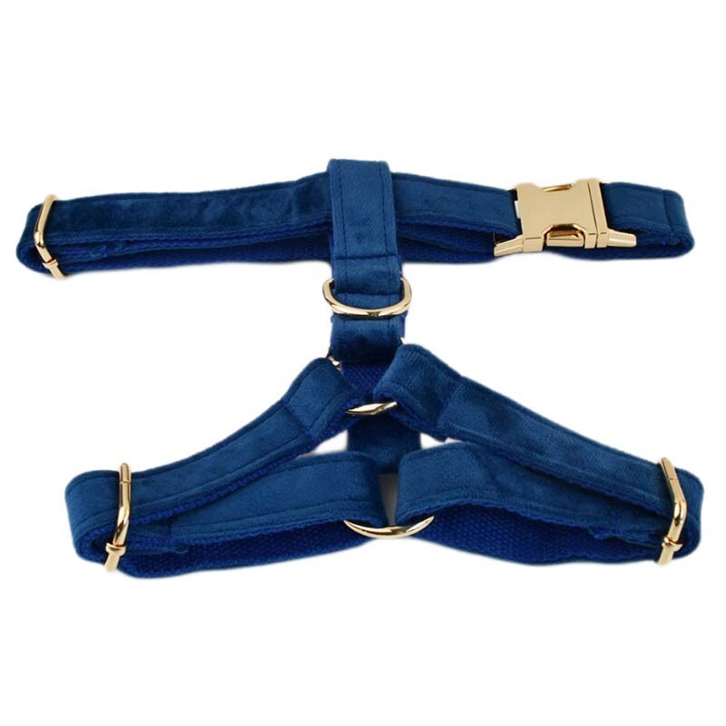 3. Blu Reale