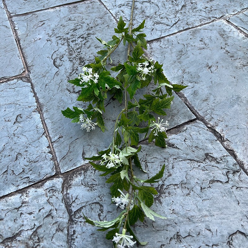 6 fourchettes de feuilles d'artémisia à fleurs blanches