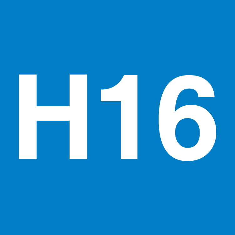 H16