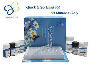 Quick Step Human <strong>B</strong> Cell Activation Factorr From the Tumor Necrosis Factor Family <strong>Receptor</strong>,BAFF-R ELISA Kit - Product Image 2