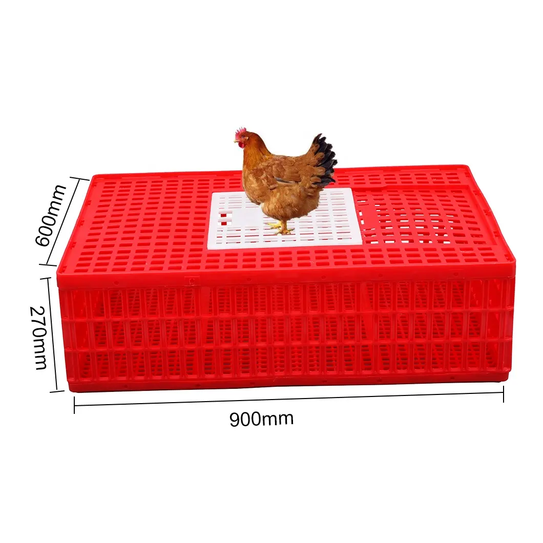 Gemakkelijk Grijpen 16 Kippen Houden Grote 900*600*270 Mm Gedemonteerd Opvouwbare Plastic Gevogelte Krat/Transport Coop