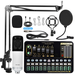 Interfaz de audio profesional Tarjeta de sonido y mezclador con juego de micrófono BM800 para computadora Karaoke Grabación de transmisión en vivo