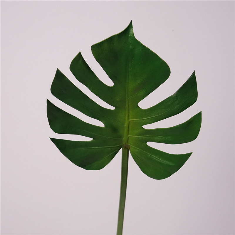 Verde 64 cm