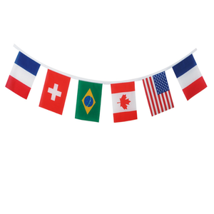 Banderín de poliéster 100D personalizado de alta calidad OEM a prueba de agua, banderín triangular, banderín, banderín triangular, banderas triangulares de sublimación en blanco - Product Image 1