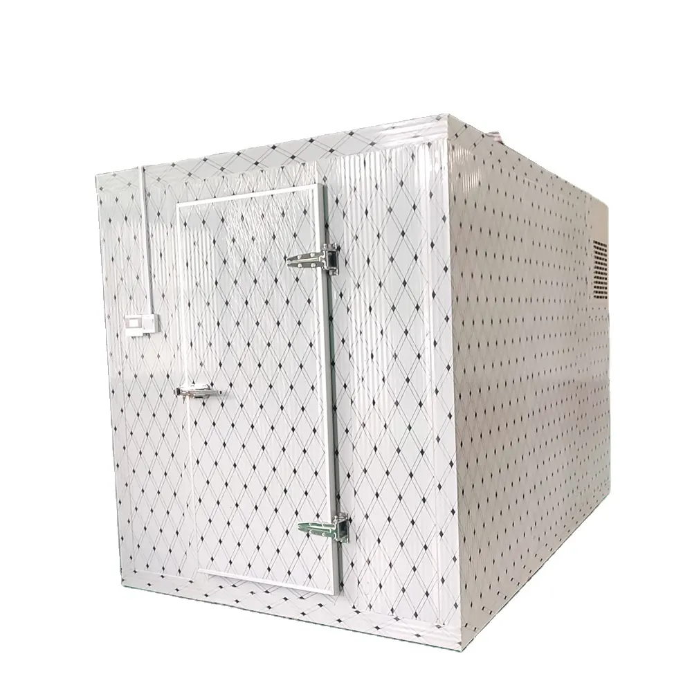 Congelador de refrigeración de 10x10x10 pies, congelador de entrada, congelador de habitación, almacenamiento en frío para carne