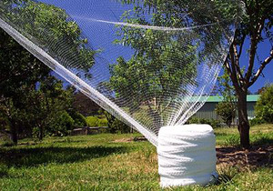 Apfelbaum Blaubeer Obstgarten Trauben Insekt Hagel Netz/Bäume Schutz Anti Hagel Netz 50gsm 45gsm 60gsm
