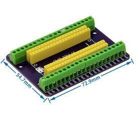 Scheda di espansione Raspberry Pico scheda di sviluppo Raspberry Pi sensore Gpio