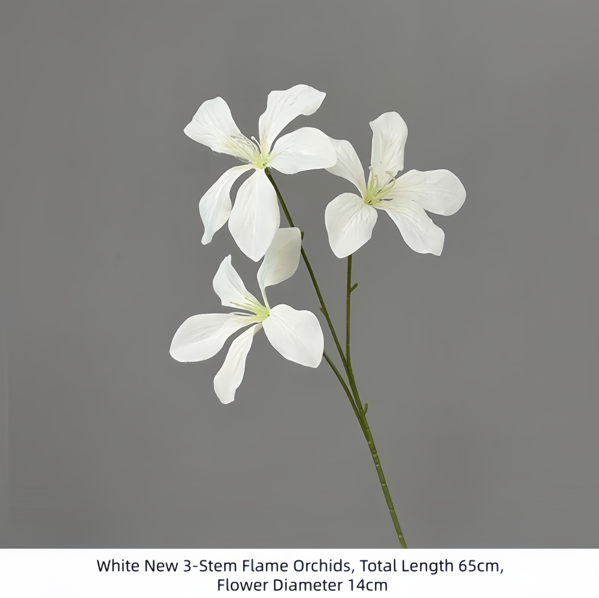 White New 3-Stem Flame Orchids