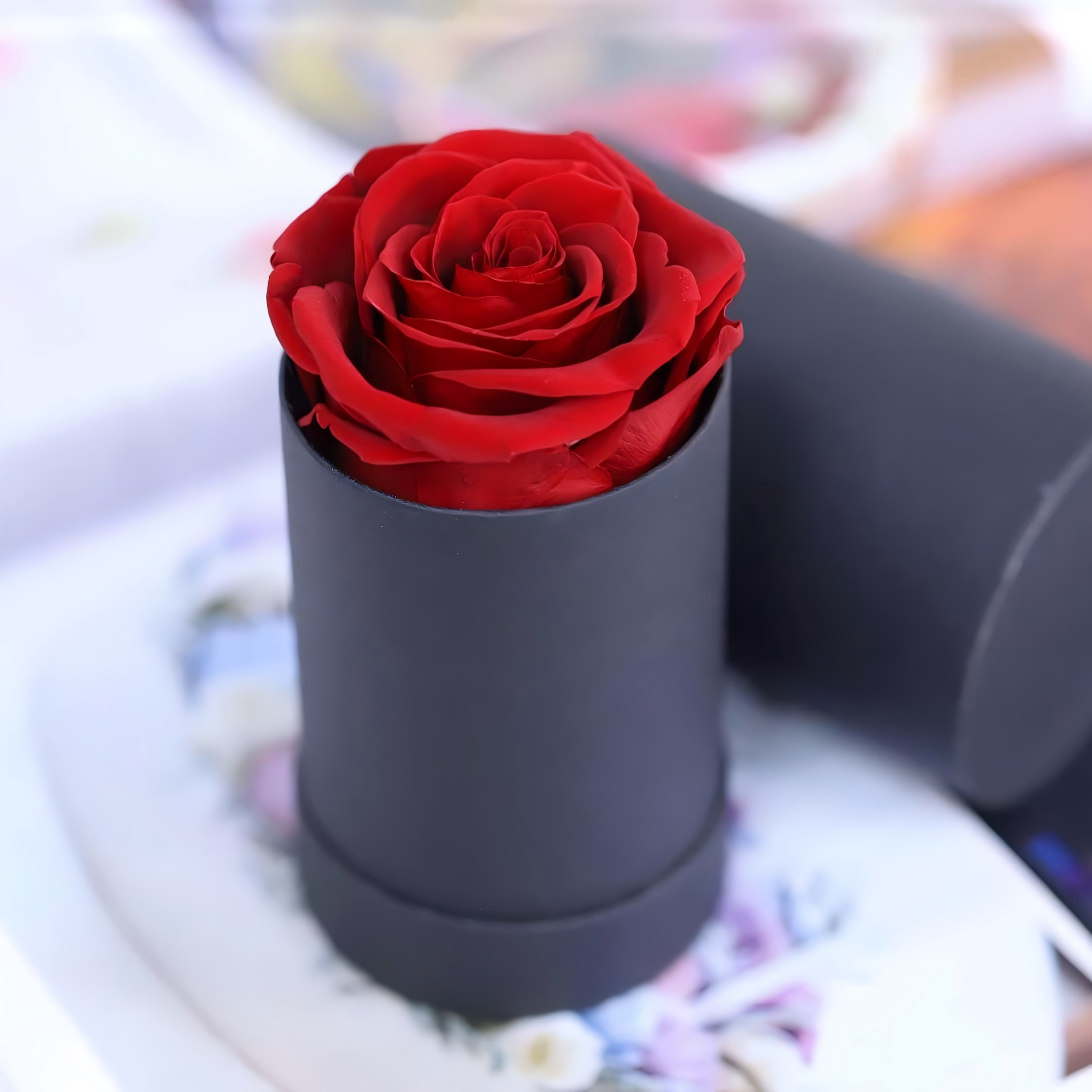 1 rose rouge dans une boîte ronde noire