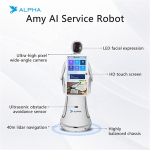 Robot di servizio intelligente programmabile per stazioni aeroporti Hotel di benvenuto Robot di accoglienza con 21.5 pollici grande schermo - Product Image 5